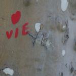 vignette