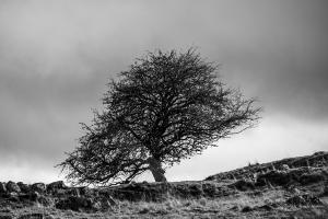 aline_chambert_en_quete_de_lumiere_010