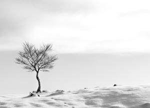 aline_chambert_en_quete_de_lumiere_011