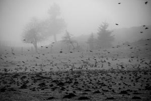 aline_chambert_en_quete_de_lumiere_09