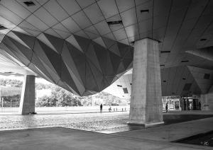 champi___2_confluence