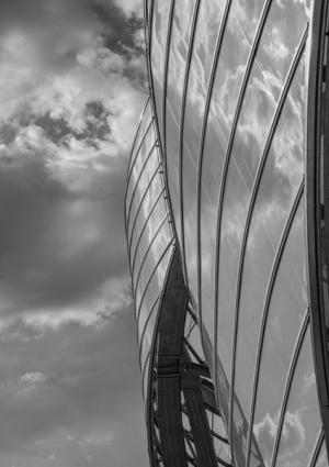 champi___4_magn__tique