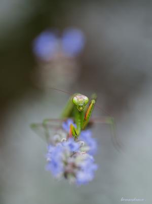 dernier instant r