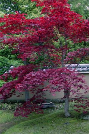 11-japon_2002_p11-16