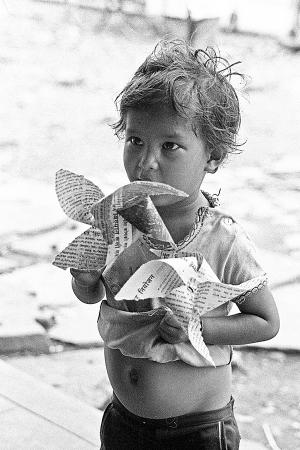 inde1981