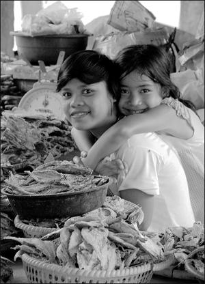 philippines2013n1