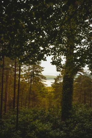 anam-l_esprit_de_la_lande1