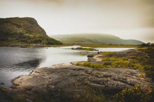 anam-l_esprit_de_la_lande2