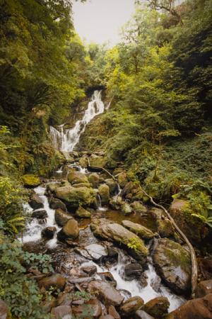 anam-l_esprit_de_la_lande3