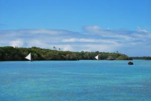 4-paysage_de_nouvelle_cal__donie