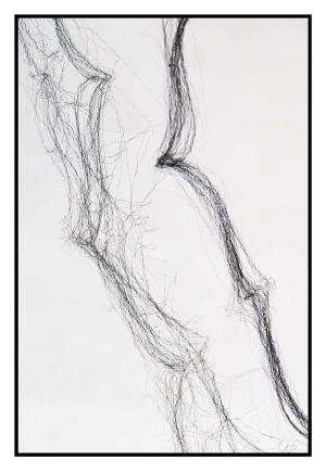 p1151093