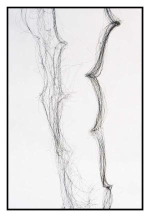 p1151094