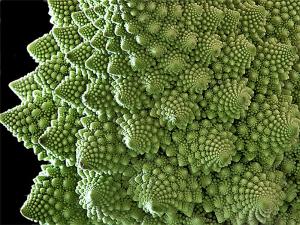 07__natures_et_math__matiques
