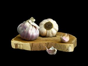 07__portraits_du__potager_