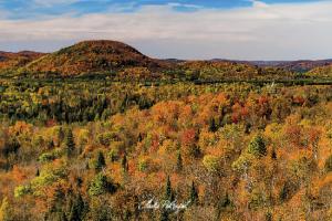 la_saison_des_couleurs