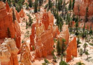 bryce_4-a3
