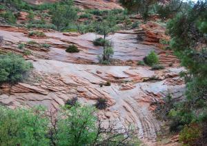 zion_park-alain_6
