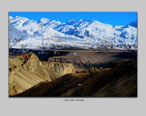 3913_fond_en_40x50_degrad___blanc_gris