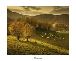 couserans_3ibo