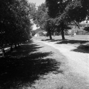 feduzi_08