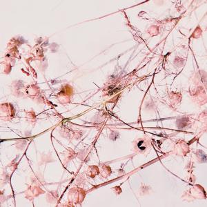 1752916664036_filtered