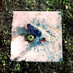 1761824250829_filtered