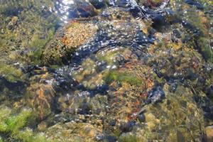 img_4194_r__d