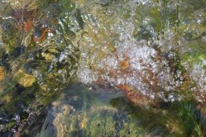 img_4213_r__d