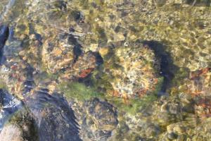 img_4224_r__d