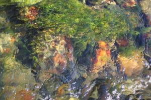 img_4239_r__d