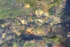 img_4258_r__d