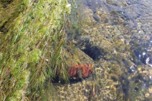 img_4193_r__d