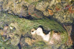 img_4223_r__d