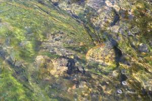 img_4233_r__d