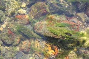 img_4243_r__d