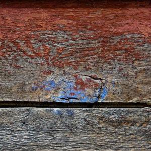 11-e62ff24e5858a1dca22ae2f3f72e01896cf7cd31