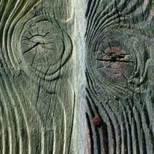 4-42fb538aa2dab90a70525fbe774a62766d266fb1