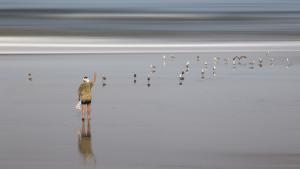 solitude(s)_03_copie