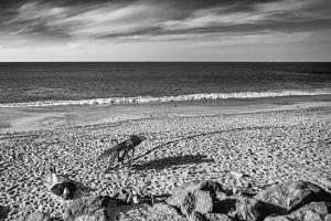 g_clerc-04