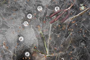 296120119-web