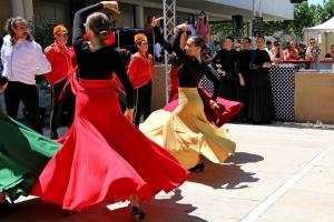 7-_passion_andalouse