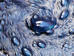 sam_8102bleubulles4