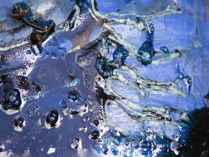 sam_8131bleubulles1