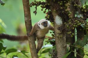 l__mur____front_blanc