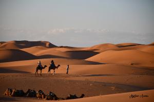 jeux_lumi__re_dune
