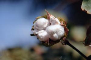 4-img20260228_16261791