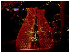 9-dsc_9710-1