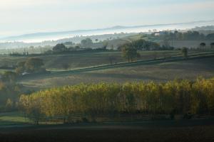 09-automne
