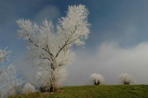 14-hiver