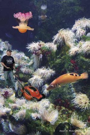 01-_voyage_au_fond_des_mers